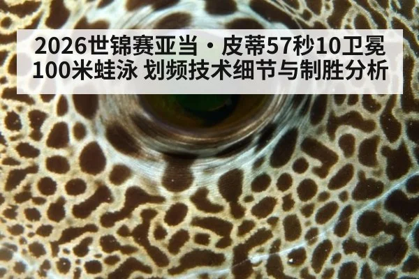2026世锦赛亚当·皮蒂57秒10卫冕100米蛙泳 划频技术细节与制胜分析