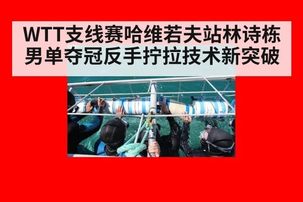 WTT支线赛哈维若夫站林诗栋男单夺冠反手拧拉技术新突破